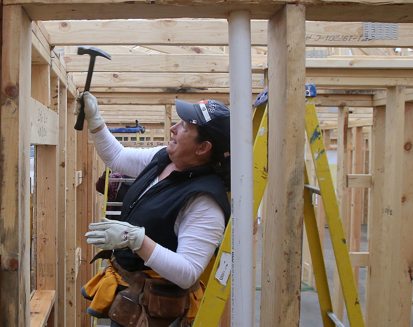 Habitat home